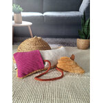 Cache cachet rose et sa souris jouet pour chat