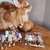 MATATA POILS CHAT 1