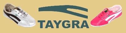 nouvelle banniere basket taygra 1