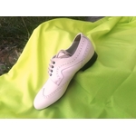 Chaussures de danse homme STEFANO BEIGE en cuir beige clair talon 2cm et semelle peau vue profil