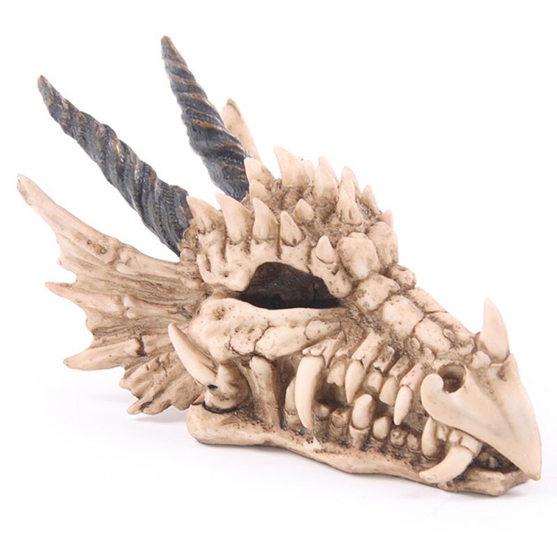 Crâne de Dragon Tirelire