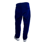 hollyhood-velour-set-royal-blue-pants-2