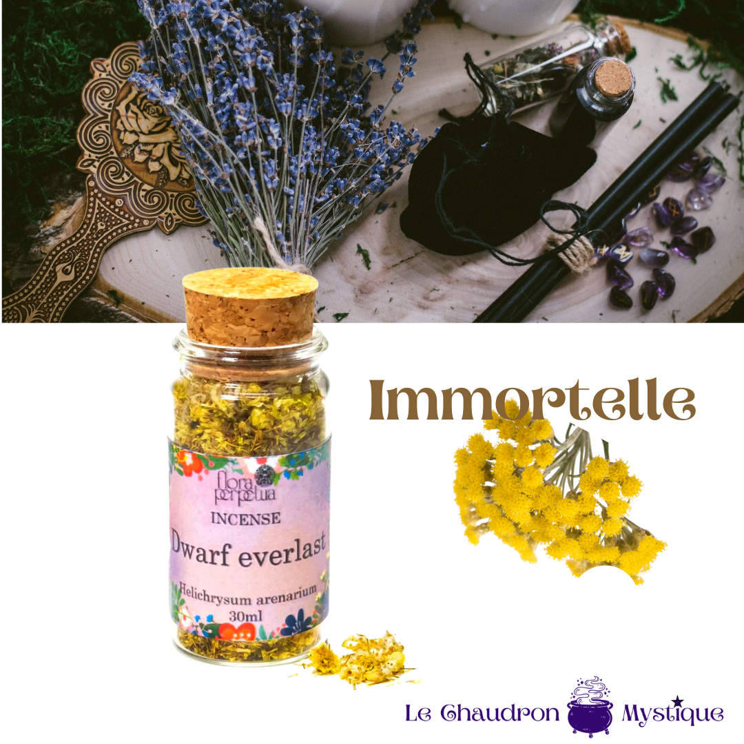 FIOLE ENCENS IMMORTELLE HELICHRYSUM