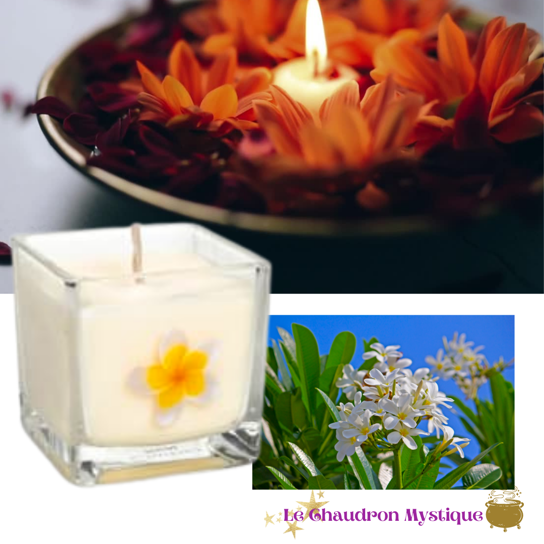 BOUGIES PARFUMEE NAG CHAMPA