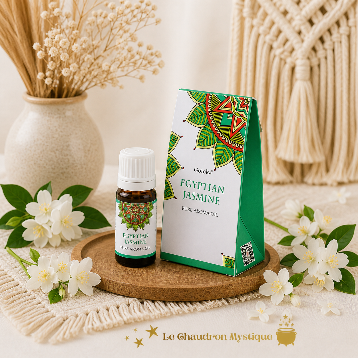 GOLOKA JASMIN EGYPTIEN