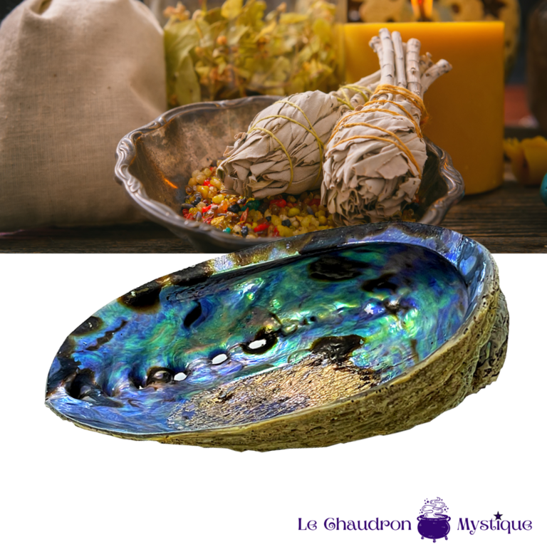Coquille naturelle d'Ormeau / Abalone Mexique (env. 13cm) - FUMIGATION &  PURIFICATION/Coquilles - ⭐️Le Chaudron Mystique⭐️