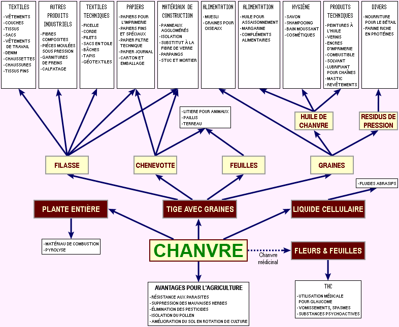 Toutes les applications du chanvre dit utile