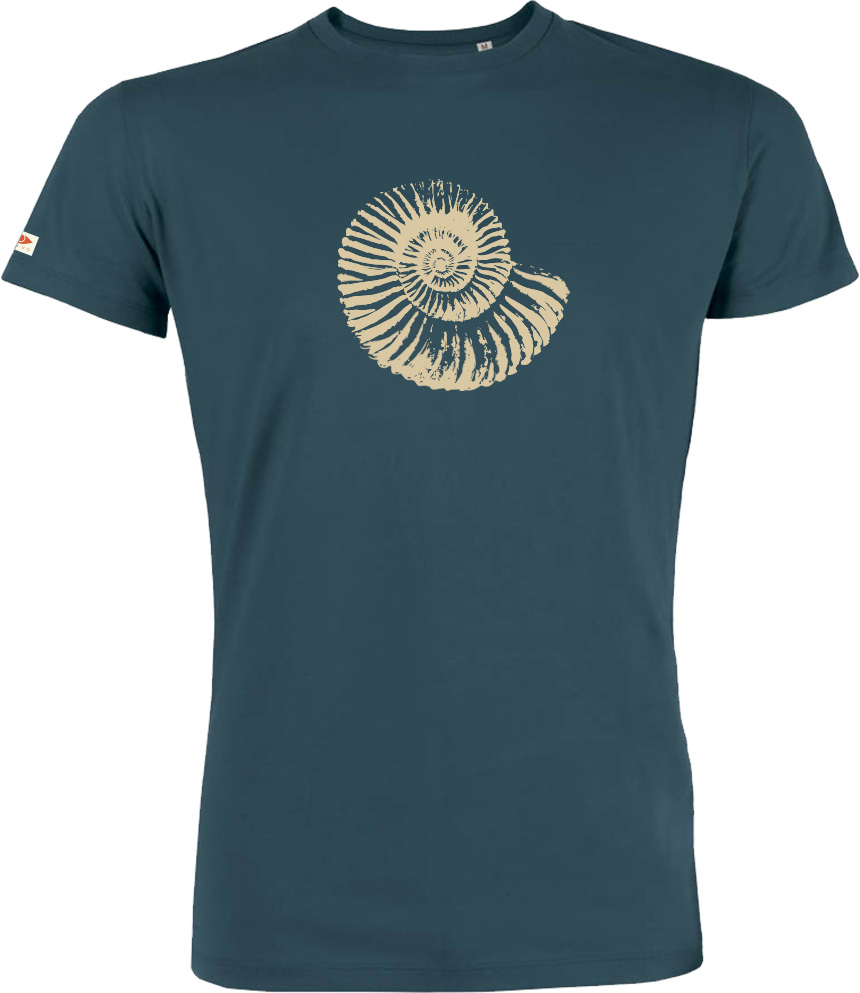 T-shirt OVIVO Fossile beige-vert ardoise-man
