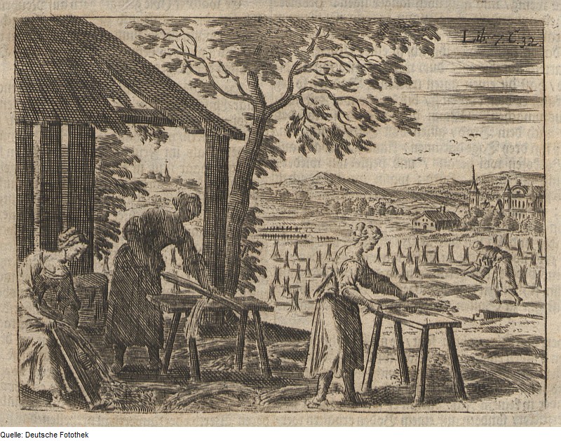 Le chanvre à travers les siècles