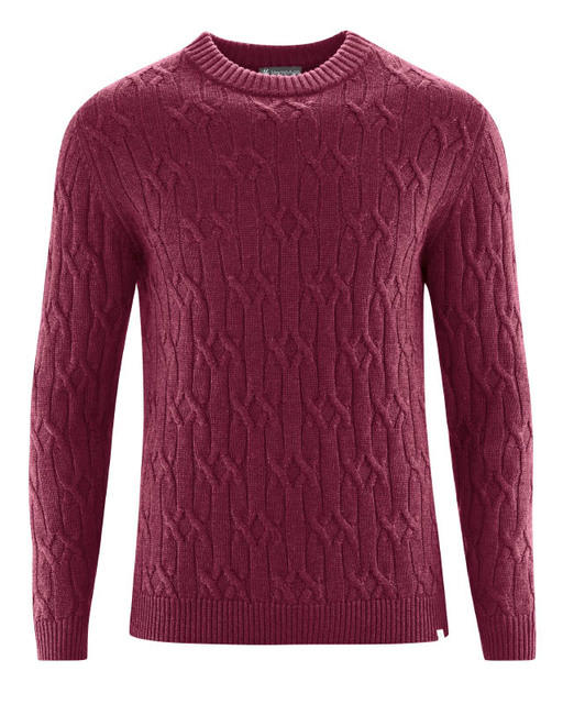 pull bio homme LZ301_a_rioja