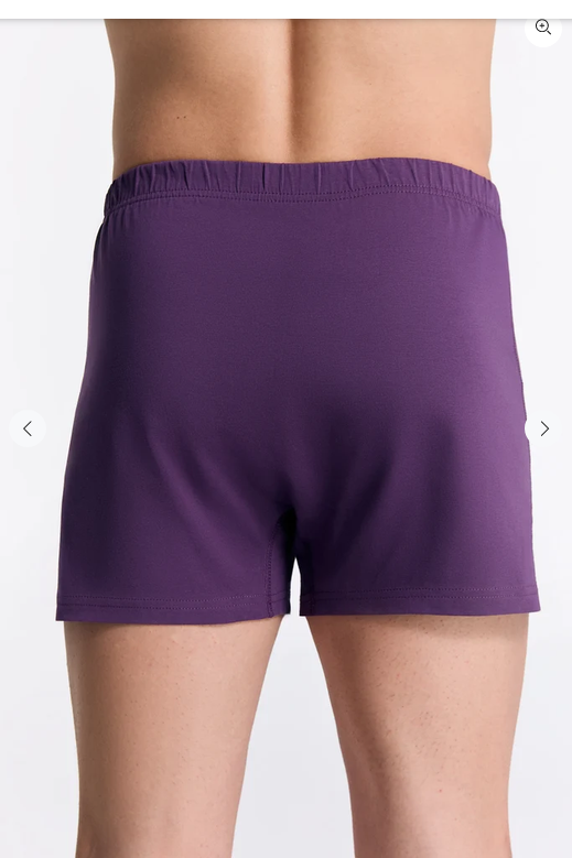 men-boxer-organic-cotton_2134-117