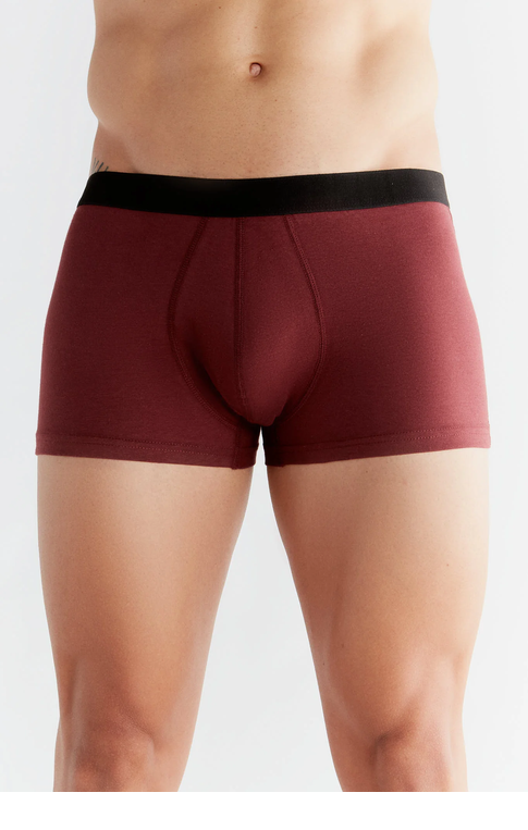 boxer-trunk-coton-bio_3P2121_112
