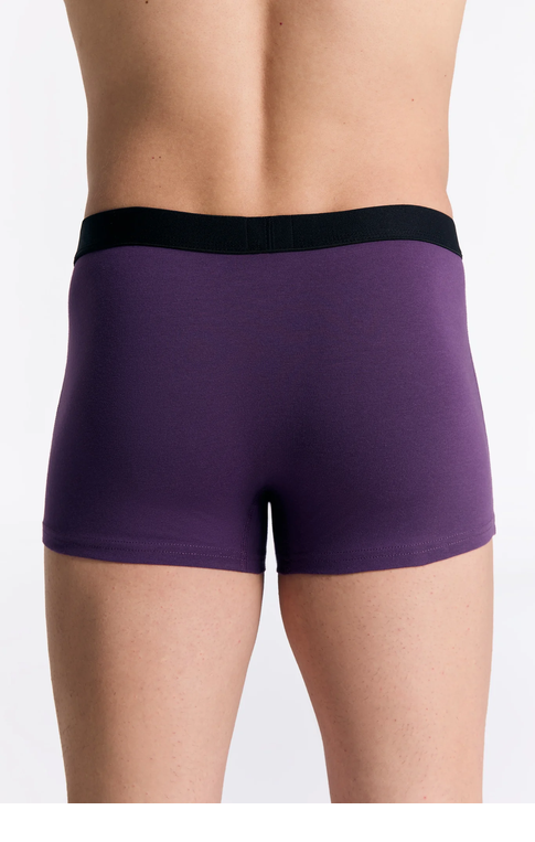 boxer-albero-natur-homme_2121_117