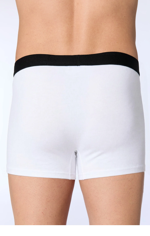 boxer-coton-non traité_2121_022