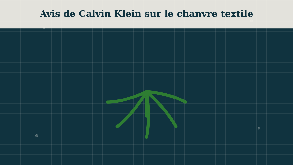 Avis de Calvin Klein sur le chanvre textile