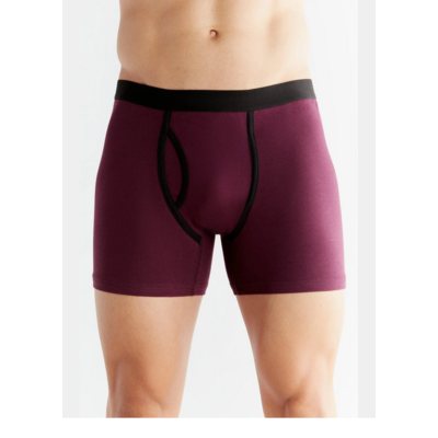 boxer-prix-cassé_P2131-07