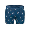 Boxer trunk homme Funky Donkey GREENBOMB en coton bio porté, motif ânes lunettés