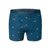Boxer trunk homme Wood Tent GREENBOMB en coton bio porté, motif sapins et tentes