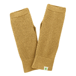 gants-coton-bio_LZ413_a_dijon