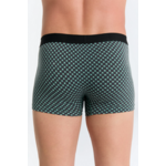 boxer-homme-respectueux-environnement-motif-tendance_2121-132