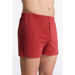 boxer-homme-coton-bio-éthique_2134-119_3