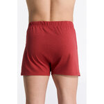 calecon-coton-biologique-homme-gots_2134-119_2