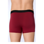 sous-vêtement-éthique-homme_2121_079