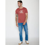T-shirt homme à motifs tortues en coton bio GOTS, rouge couchant, porté de dos