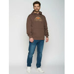 sweat à capuche homme GREENBOMB en coton bio, porté de dos, terre boisée