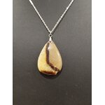 Collier Septaria
