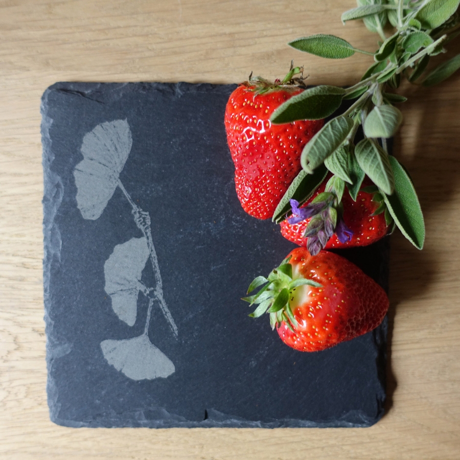 Ardoise PICTOU Ginkgo BILOBA &amp; fraises