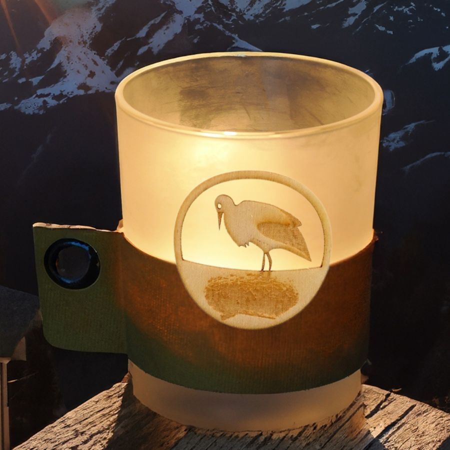 Whistler cigogne ambiance hiver (1)