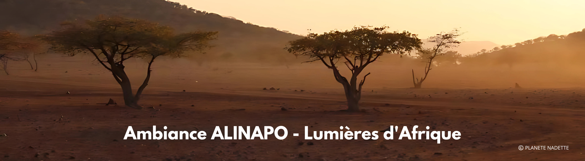 Ambiance ALINAPO - Lumières d'Afrique