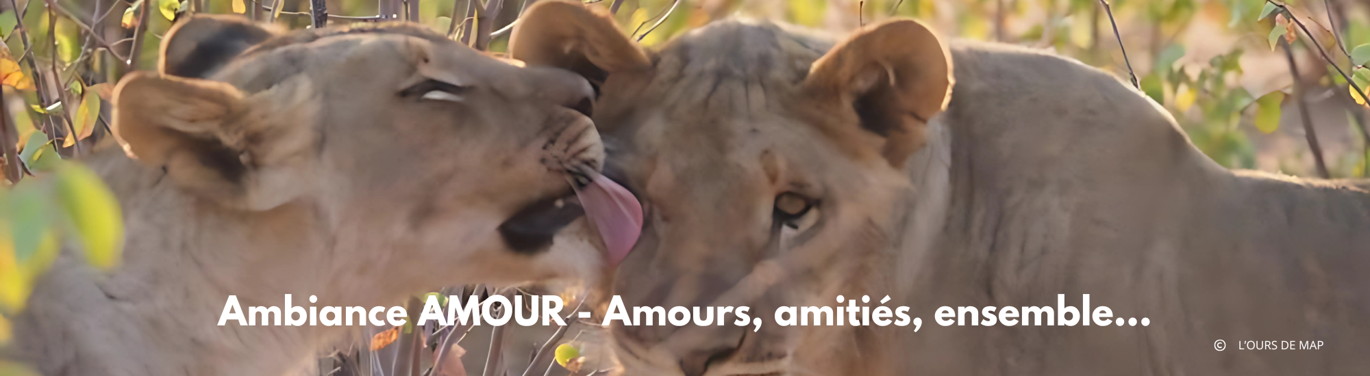 Ambiance AMOUR - Amours, amitiés, ensemble...