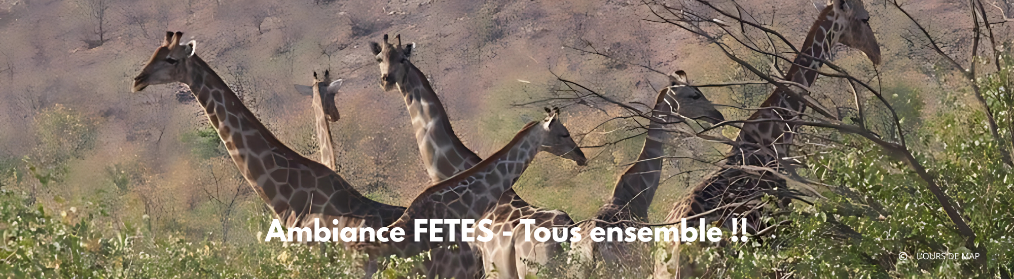 Ambiance FETES - Tous ensemble !!