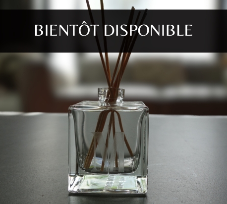 marseille diffuseur bientot disponible