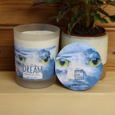 Bougies PARADOXE DREAM 1