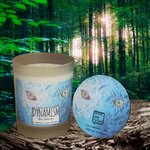 Bougies PARADOXE DYNAMISM 2