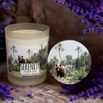 Bougies PARADOXE SERENITY 2