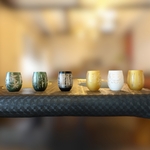 Collection VIK CAM - CHAR - BOU - LUP - végéteaux