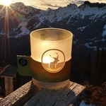 Whistler cerf ambiance hiver