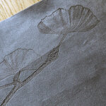 mascate ginkgo (3)