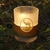 Whistler bouquetin ambiance