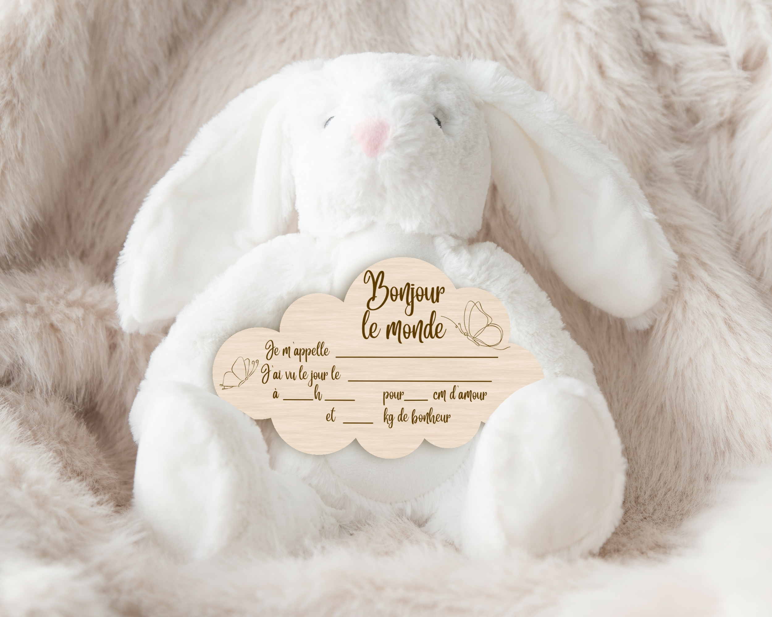 NUAGE PAPILLON LAPIN