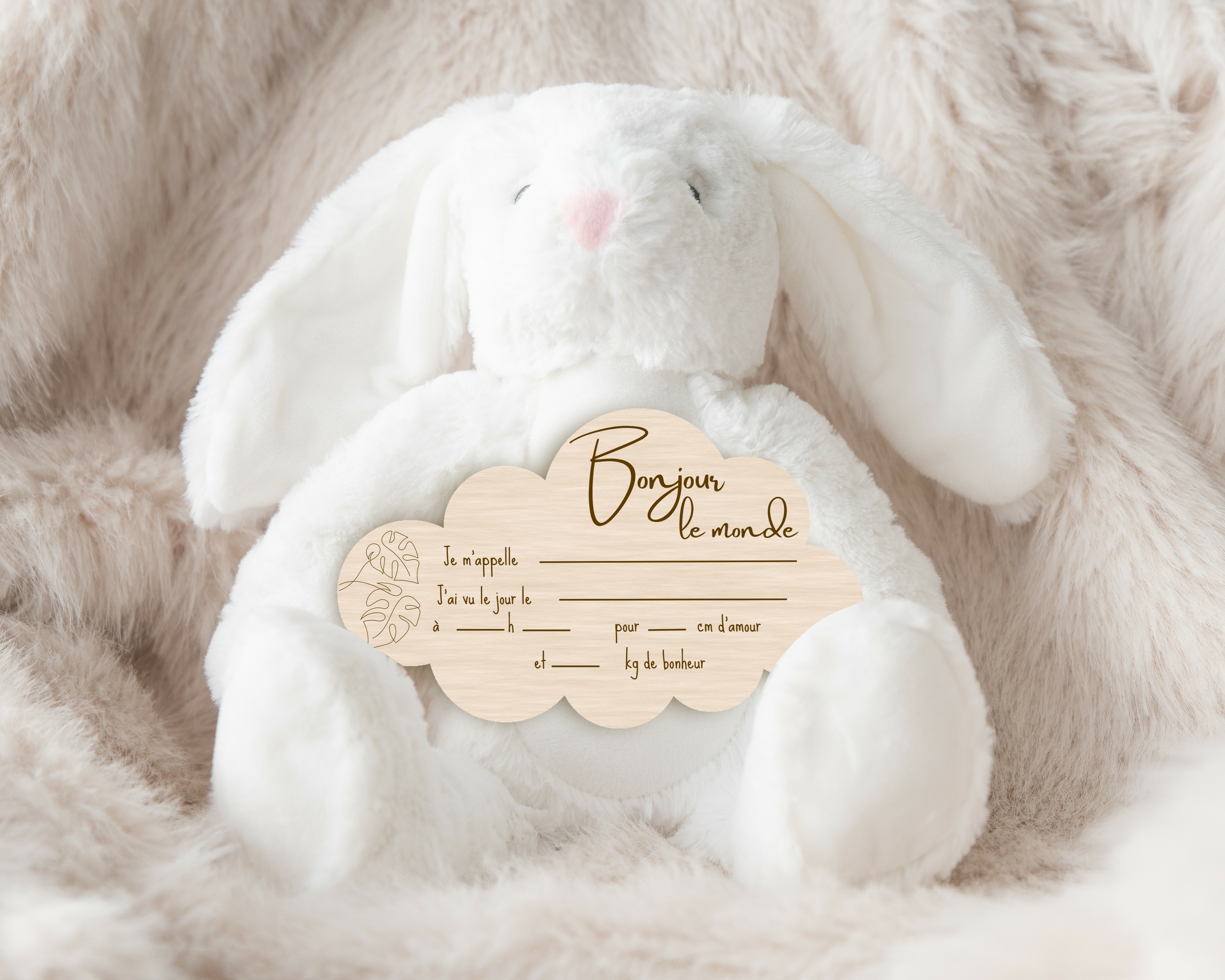 NUAGE FEUILLE LAPIN