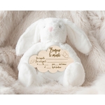 NUAGE PAPILLON LAPIN