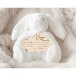 NUAGE FEUILLE LAPIN