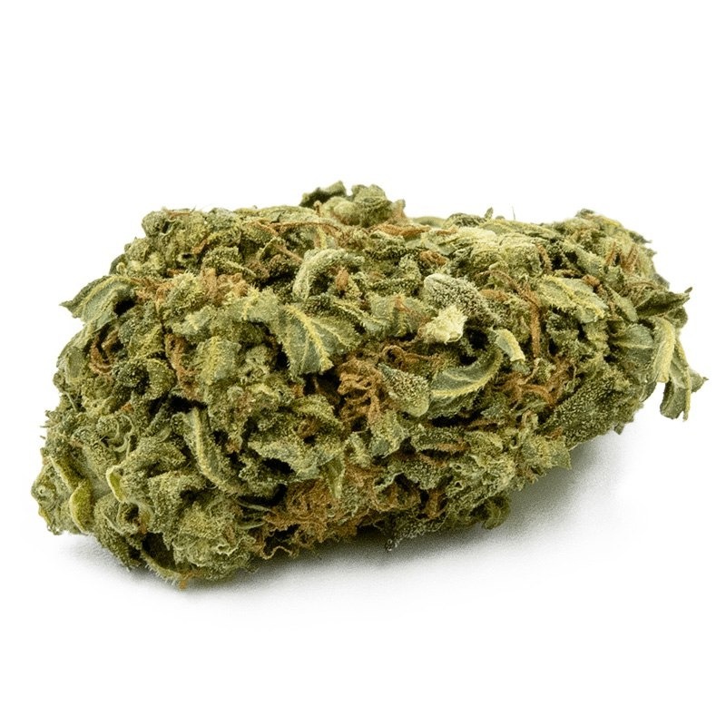 cheese-indoor-infusion-fleurs-cbd