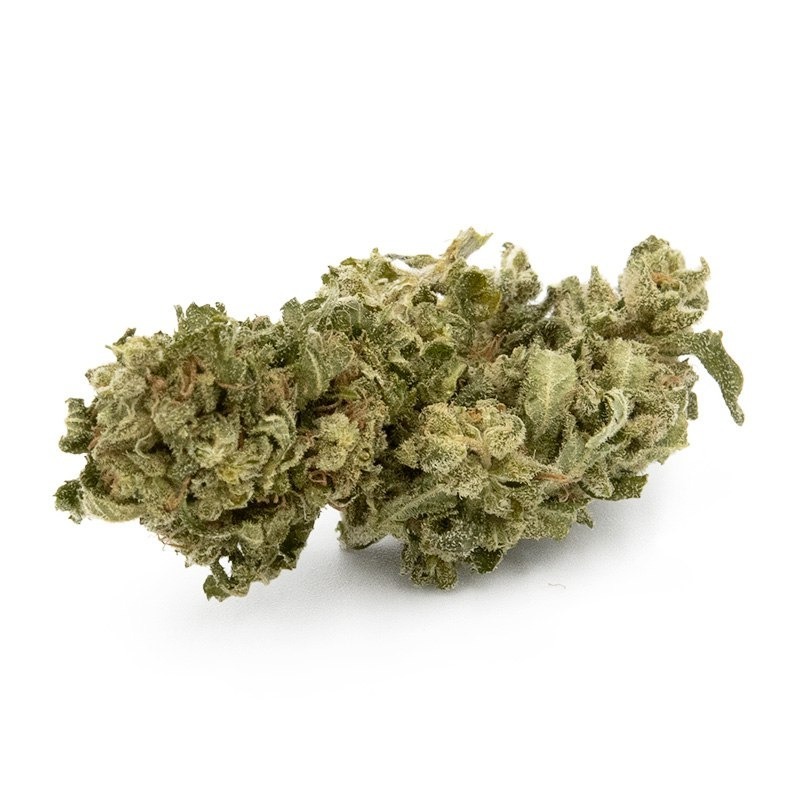 critical-greenhouse-infusion-fleurs-cbd