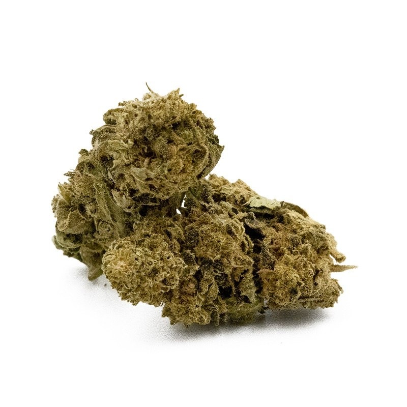 og-kush-greenhouse-infusion-fleurs-cbd